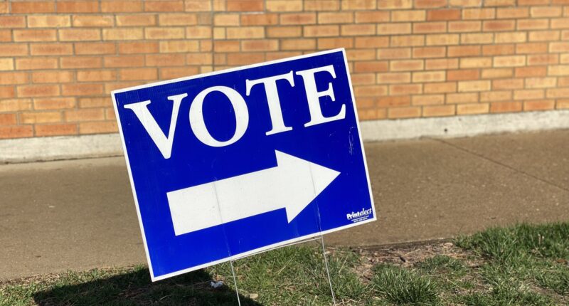 Vote sign