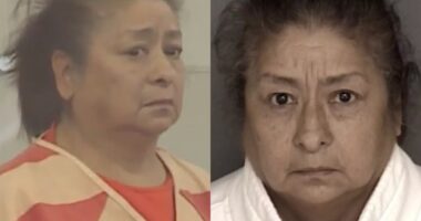 A baby’s body was found inside a shopping bag 30 years ago. A 60-year-old mom has been arrested on suspicion of murder