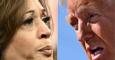 A historic gender gap is emerging ahead of the election and will likely decide if Trump or Harris wins