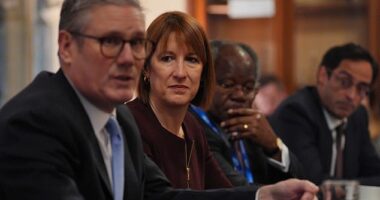 Although Labour's manifesto pledged to exclude a VAT rise from its first Budget, Sir Keir Starmer and Rachel Reeves have seen an opportunity to engage in some old-fashioned class war by imposing it on independent school fees