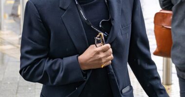 Waheed Alli, a Labour peer since 1998, is reputed to be worth around £200million. Over the years, he has given around £700,000 to various rising Labour stars