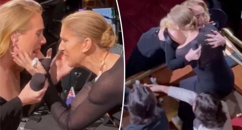 Adele bursts into tears as she embraces Celine Dion during her Las Vegas residency