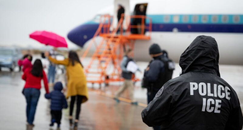 Admitting Migrants Without ID May Increase 'Security Risks'