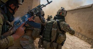 Afghan special forces to be brought to Britain as minister finally admits troops were employed by UK