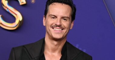 Andrew Scott Net Worth