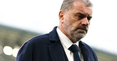 Ange Postecoglou says he would be 'stealing a living' if he thought he couldn't end Tottenham's reputation for being fragile