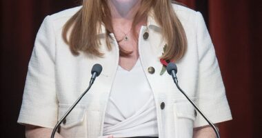 Deputy PM Angela Rayner denied that a four-day working week was a 'threat to the economy' and suggested that the move could improve productivity in local government