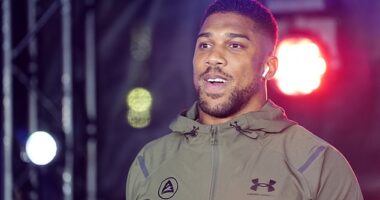 Anthony Joshua's huge heavyweight property spending has reportedly been revealed