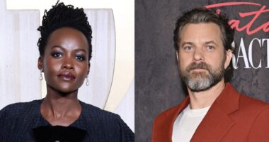 What's Tea? Lupita Nyong'o Seemingly Shares Update On Her Romance With Joshua Jackson