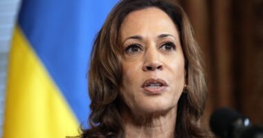 Arab Americans in Michigan Turning Their Backs on Kamala Harris – HotAir