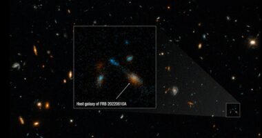 New NASA Hubble Space Telescope images have given the clearest images yet of the host galaxy of an exceptionally powerful fast radio burst, FRB 20220610A. Hubble’s sensitivity and sharpness revealed that this distant galaxy is part of a 'weird' cluster of seven galaxies