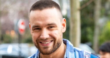 Liam Payne Buenos Aires Argentina Cops Communications Director Autopsy Report Passing Details One Direction