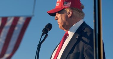 Armed man arrested outside Trump rally as sheriff says possible ‘assassination attempt’ thwarted