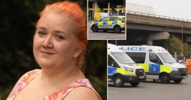 A young man believed to have arrived in the UK via small boat in July has been charged with murder after a woman working at a hotel housing asylum seekers was stabbed to death. Rhiannon Skye Whyte (pictured left), 27, died following the attack at Bescot Stadium station in Walsall on Sunday evening.