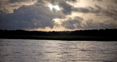 At least 7 dead after ferry dock gangway collapses on Georgia’s Sapelo Island