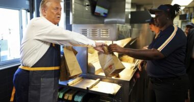 Attacking Mickey D's for Hosting Trump – HotAir
