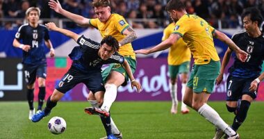The Socceroos won plenty of admirers following a gritty 1-1 draw with Japan in their World Cup qualifier on Tuesday night