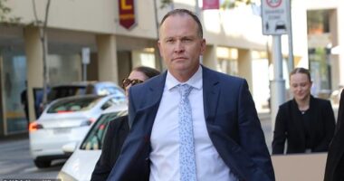 State Prosecutor Brett Tooker (pictured) told the WA Supreme Court Andre Zachary Rebelo stood to gain $1.15m from life insurance policies he took out against his mother a week before she died