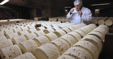 Authorities Describe Thieves' Plan as Brie-lliant – RedState