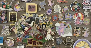 The world of Disney pin trading and collecting is something that began decades ago, but has grown into a massive phenomenon in recent months that has stretched way beyond the parks