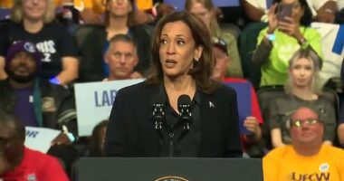 Kamala Harris was left repeating the same phrase after her teleprompter appeared to malfunction in an embarrassing gaffe at her latest rally
