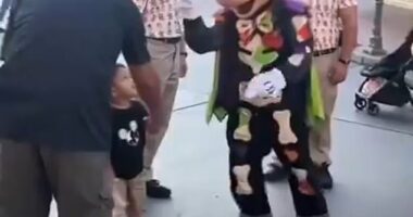 A video of Mickey Mouse scolding a dad who appeared to be filming instead of helping his fallen child at Disneyland has divided the internet