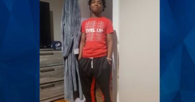 BOLO: Police Seek Tips on Missing 14-Year-Old Michigan Boy
