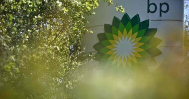 BP says lower refining margins will hit profits by up to $600 million