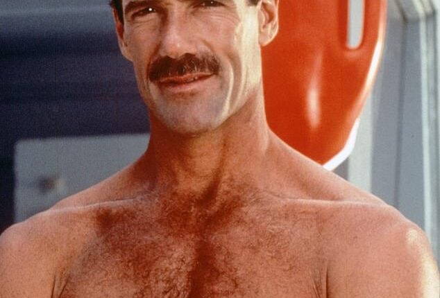 Hollywood actor Michael Newman has died at the age of 68. He was best known for his role as a lifeguard on the hit TV series Baywatch which also starred Pamela Anderson and Carmen Electra .