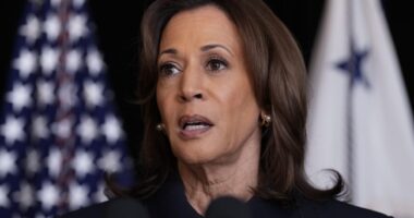 Biden Does It Again, Completely Nukes Kamala Harris' Attack on Ron DeSantis – RedState
