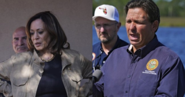 Biden Gives Illuminating Answer When Point-Blank Asked About the Kamala/DeSantis Nontroversy – RedState