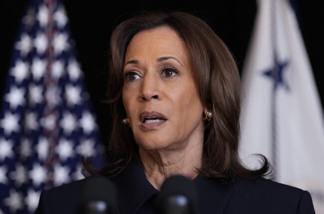 Biden, Harris Comments in Hurricane-Affected Area Raise Questions and Anger, Elon Wrecks Them in Tweet – RedState