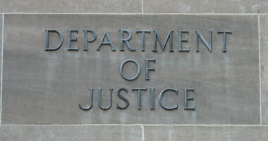 Biden-Harris Govt Sues... Over Removal Noncitizens from Voter Rolls!?