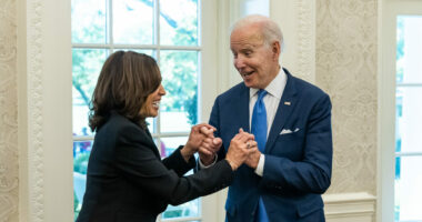 Biden-Harris Judge Rules Noncitizens Can Vote.