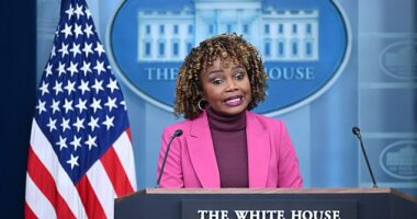 President Joe Biden believes former President Donald Trump is a fascist, press secretary Karine Jean-Pierre said Wednesday, moments after insisting the 81-year-old didn't mean 'lock him up' literally