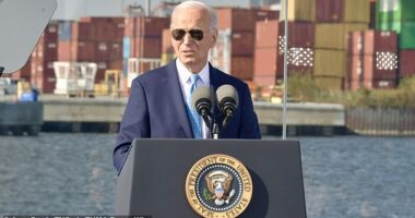 President Joe Biden referred to Donald Trump supporters as 'garbage' in an astonishing statement as Vice President Kamala Harris issued her 'closing' plea in the 2024 election