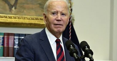 President Joe Biden has undermined Kamala Harris' campaign message on several occasions