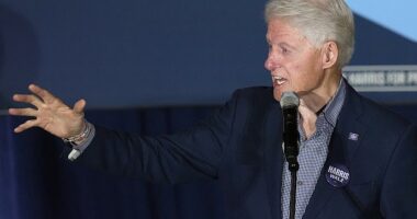 Former President Bill Clinton described Arizona Senate candidate and close Trump ally Kari Lake as 'physically attractive' during a campaign event with her opponent on Thursday