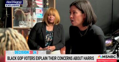 Black GOP Voters Question Kamala Harris' Authenticity On MSNBC