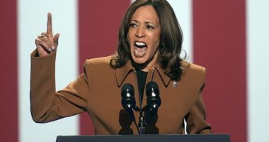 Vice President Kamala Harris is 11 points behind where President Joe Biden landed in the 2020 presidential election in New York City, according to a new poll