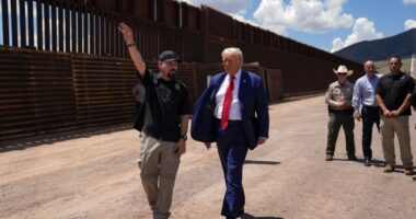 Border Patrol Union Endorses Trump, Chief Says Everything Would 'Go to Hell' Under Kamala – RedState