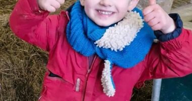 Maldwyn Gwern Evans, four, died after being thrown on to a concrete patio when he tried to stop a heavy antique garden roller from moving away down a steep garden, an inquest heard