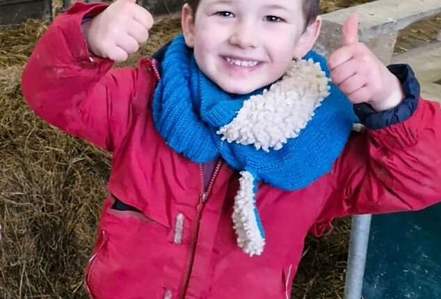 Maldwyn Gwern Evans, four, died after being thrown on to a concrete patio when he tried to stop a heavy antique garden roller from moving away down a steep garden, an inquest heard