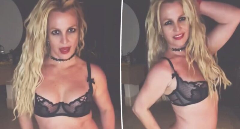 Britney Spears recalls sleeping outside after fighting with unnamed ex in Turks and Caicos