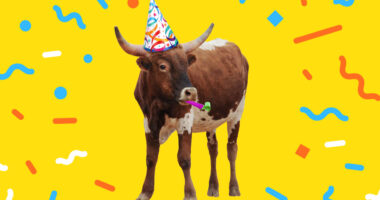 Bull market turns 2. Why fewer Fed rate cuts won’t rattle stock investors.