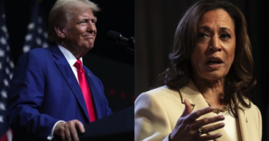 CNN's Harry Enten Explains Why Dems Are 'Bedwetting' Over Latest Trump vs. Harris Numbers – RedState