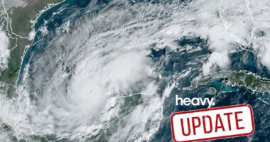 Catherine Bell Braces as Hurricane Milton Nears: 'Not Evacuating'