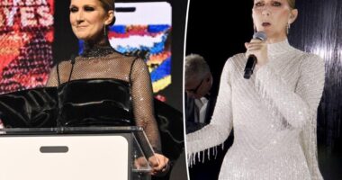 Celine Dion focusing on 'hope' as she makes first public appearance since 2024 Paris Olympics