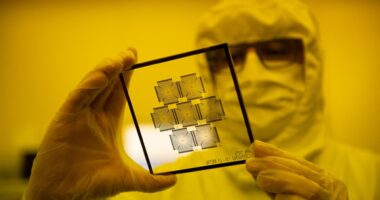 Chip stocks are ready for a big rally, based on this ‘truly unusual’ data point