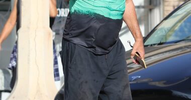 Chris Noth looked worlds away from his suave Sex And The City character Mr. Big when he surfaced in Los Angeles this week